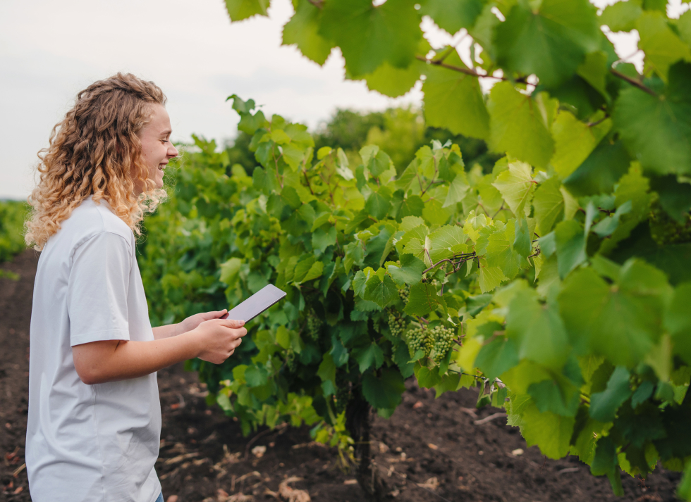 mujer comprobando plantación
