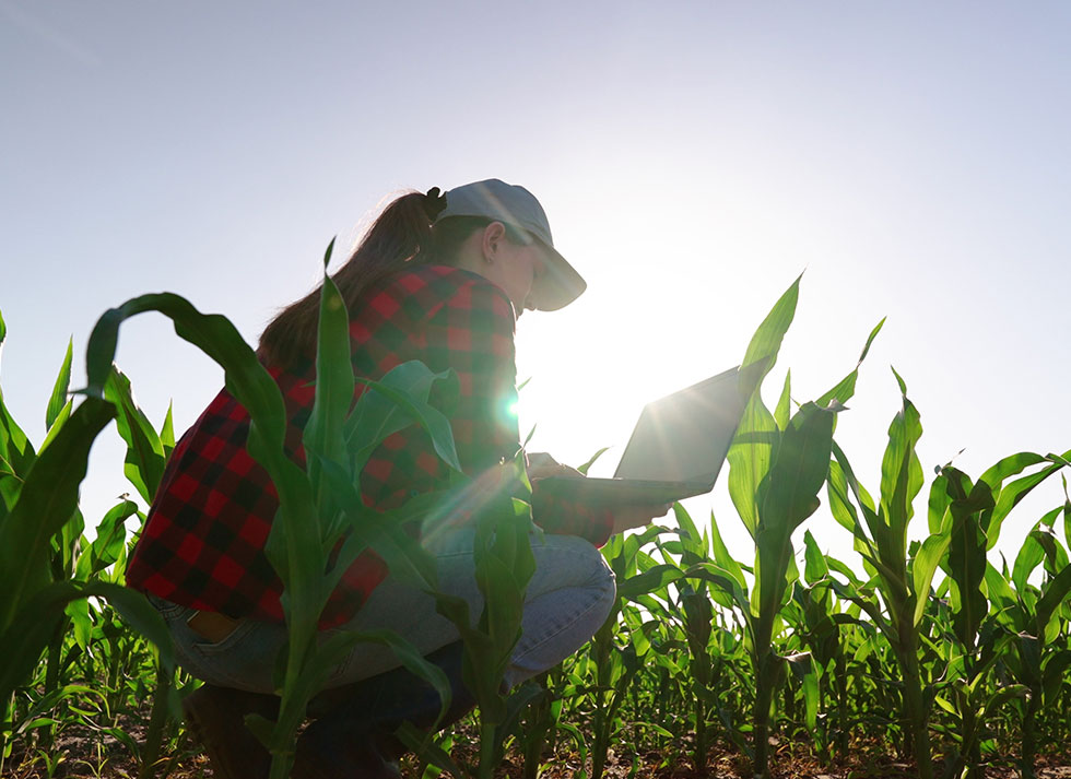 cover-mujer-con-tablet-en-el-campo