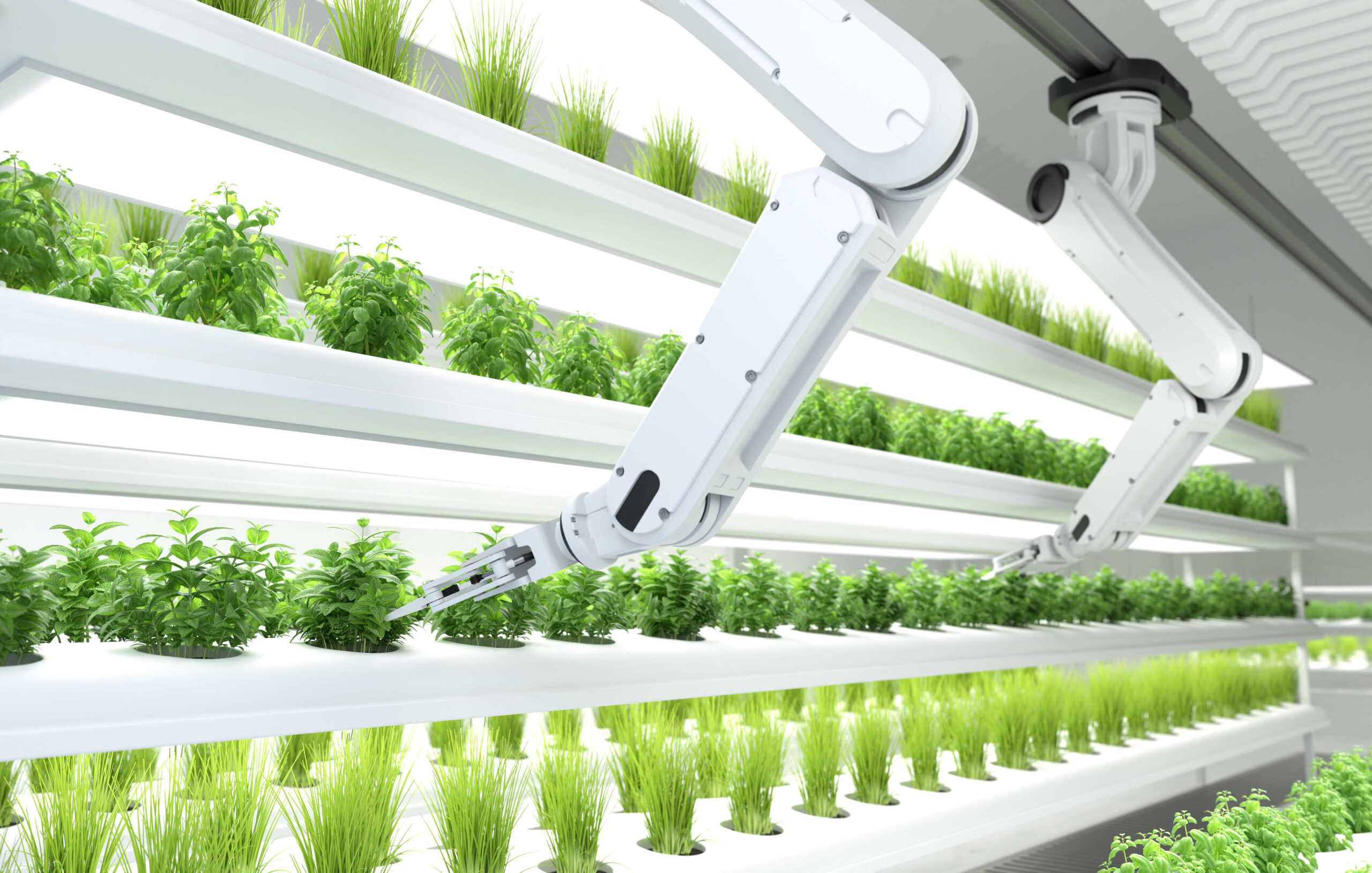 Smart robotic farmers concept, robot farmers, Agriculture techno